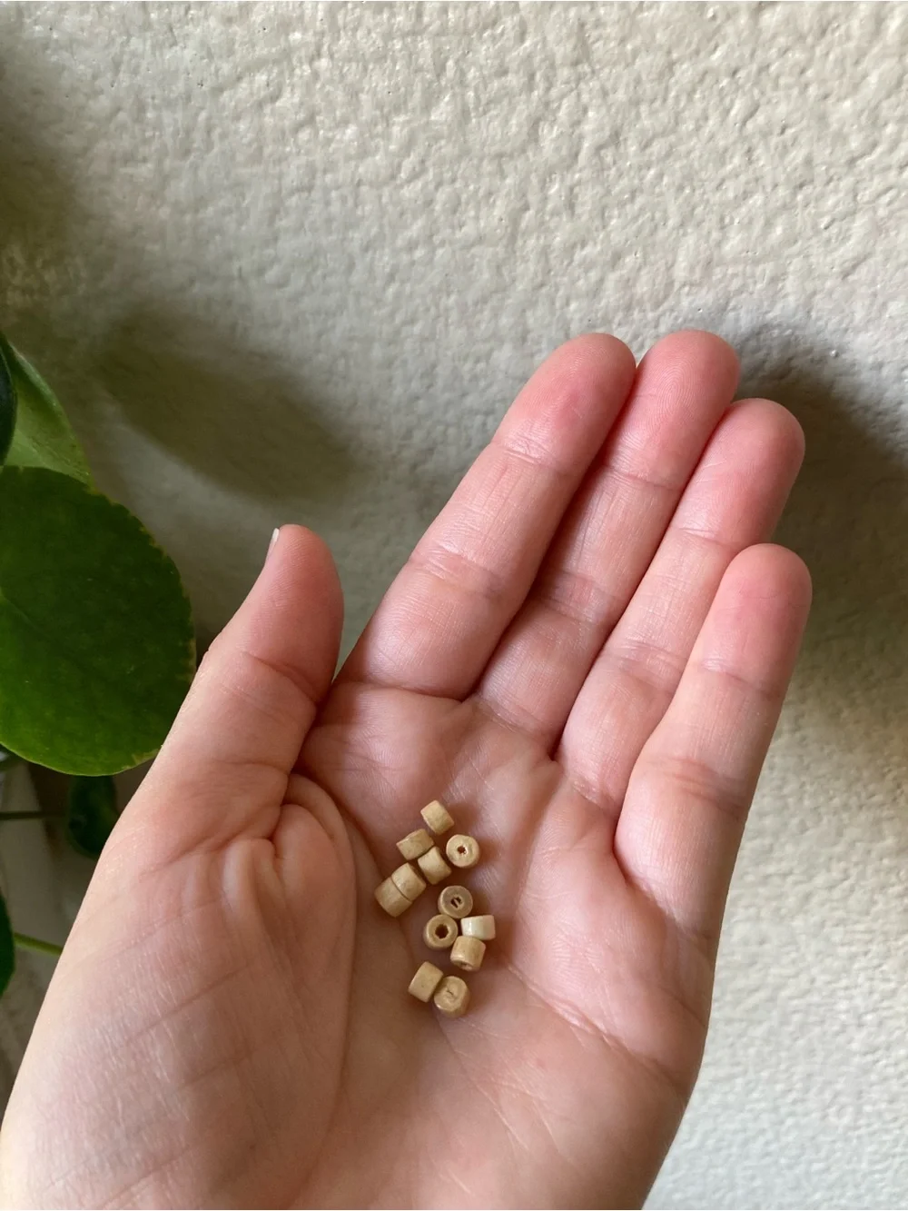 Wood, Coconut and Shell Bead Mix with Organizer